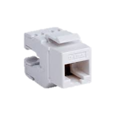 DLINK KEYSTONE JACK CAT6 UTP, PUNCH DOWN, WHITE COLOR
